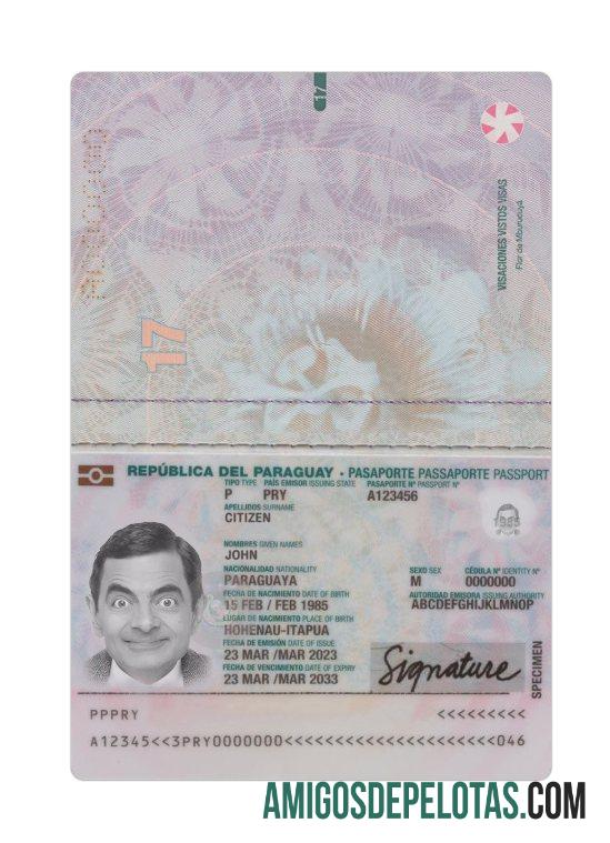 Passaporte Paraguai 2023 Presente baixar para verificação